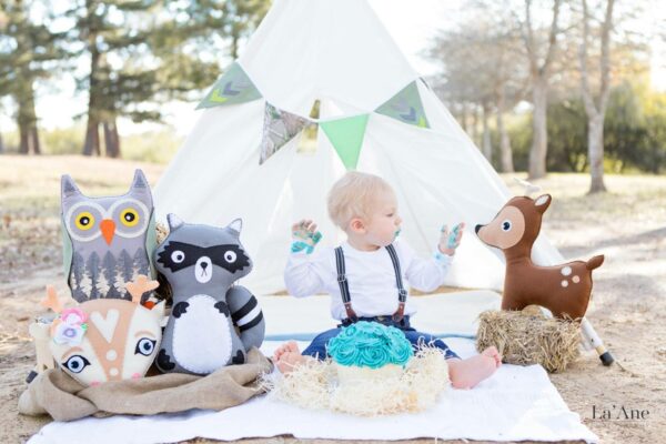 first birthday cake smash photoshoot white play tent