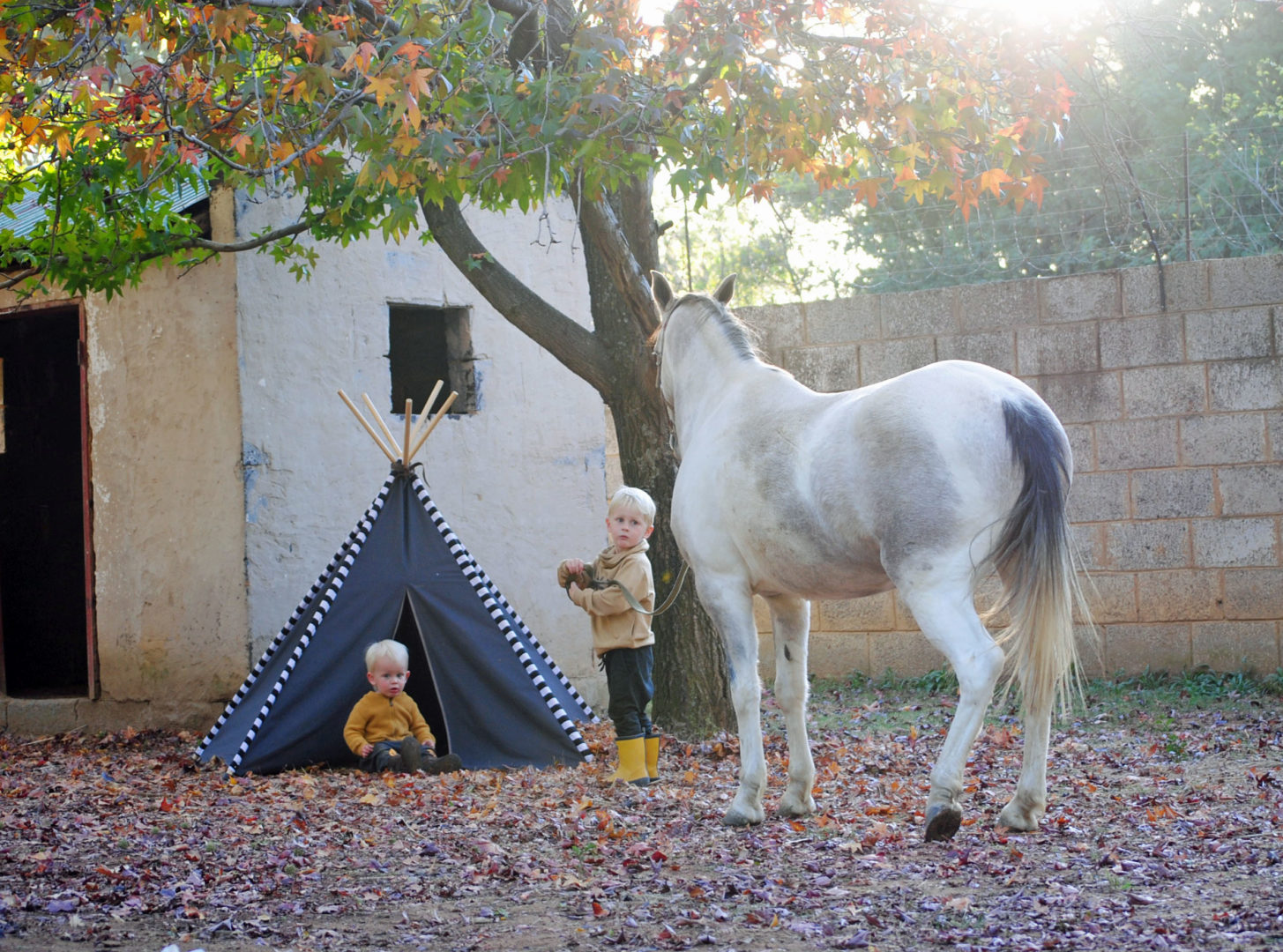 Dark grey teepee play tent under autumn tree with white horse
