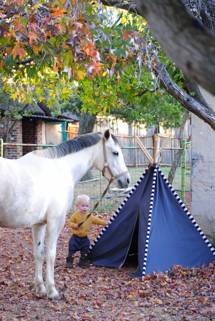 Autumn leaves kids outdoor play tent with white horse